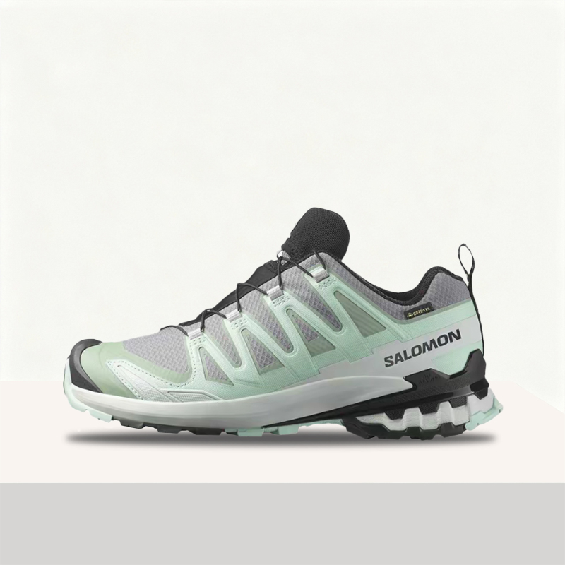 Salomon XA Pro 3D V9 GTX: Styl – Gear Tie Reusable Bewertung und Preis