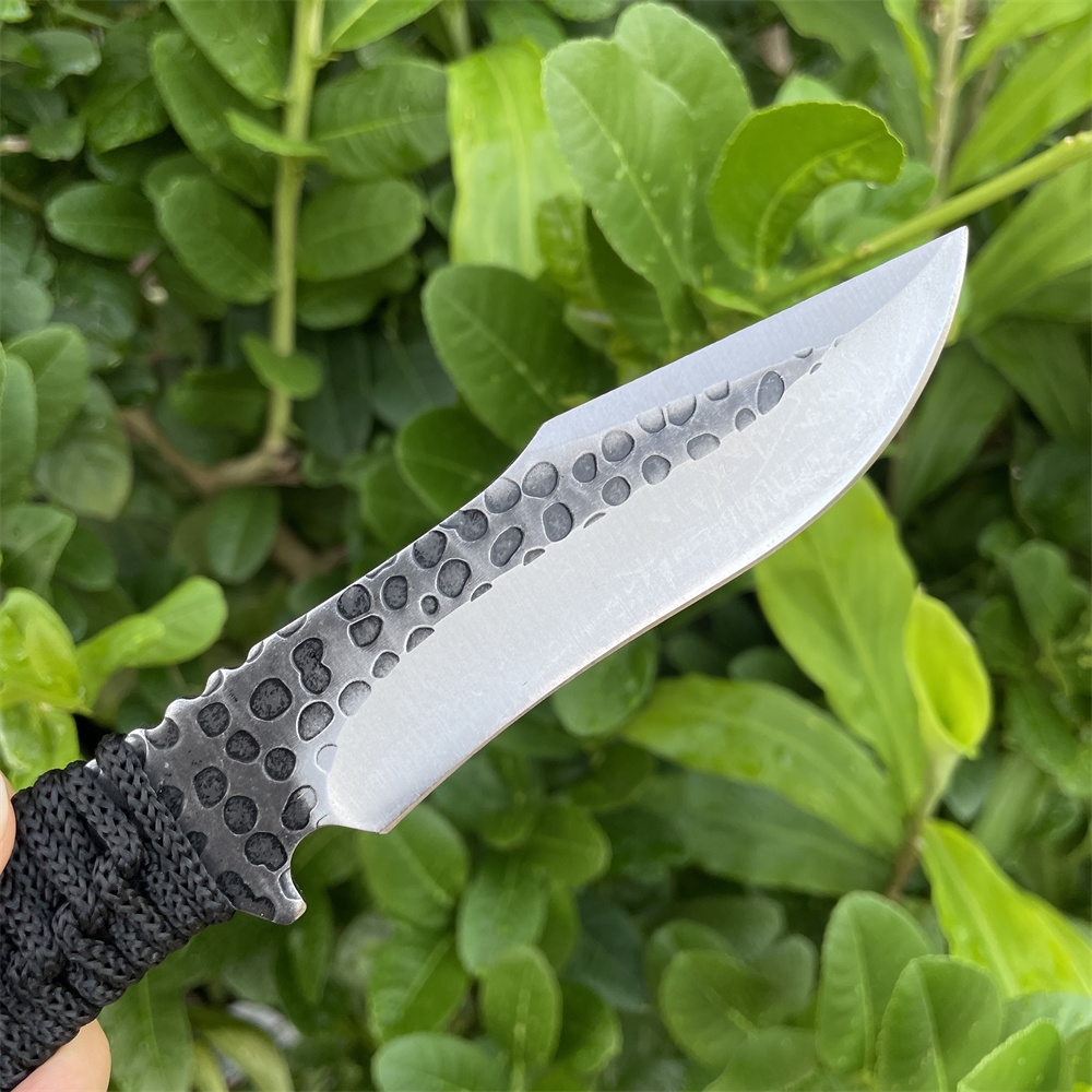 Geschmiedetes 8cr13mov-Klingen – Edc Carry Fixed Blade Knife Bewertung und Preis